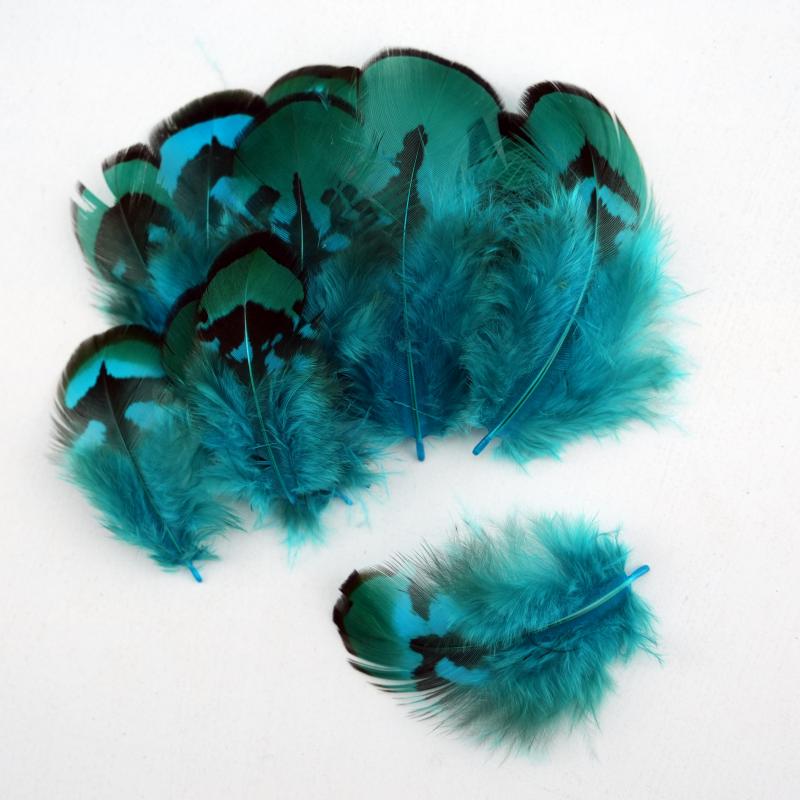 Natural DIY Pheasant Feathers  - огляд і ціна Wedding Supply Bulk