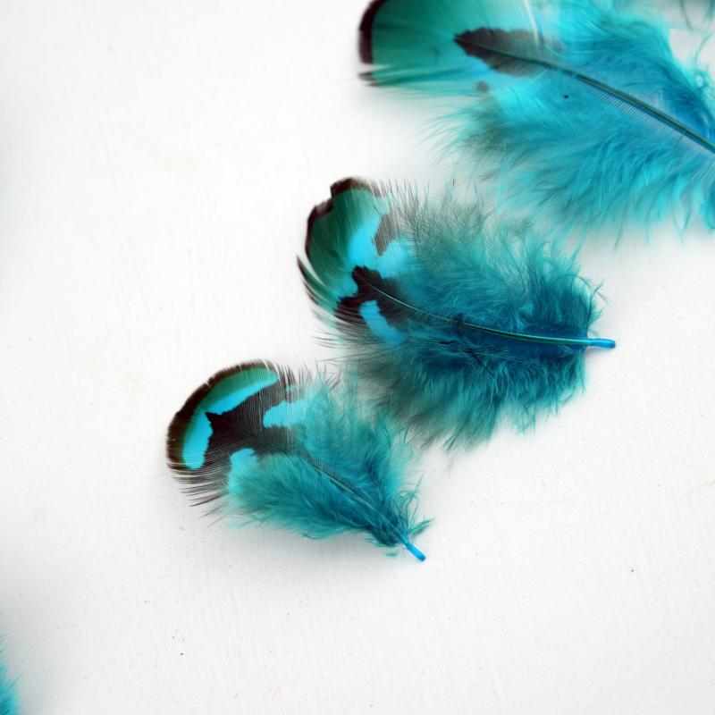 Natural DIY Pheasant Feathers  - огляд і ціна Wedding Supply Bulk