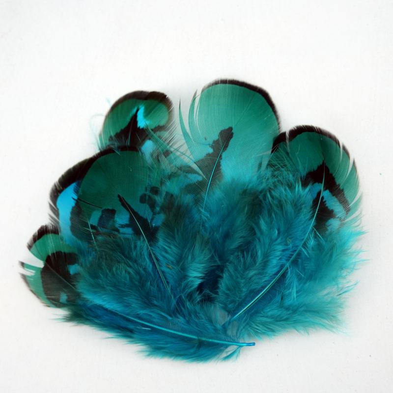 Natural DIY Pheasant Feathers  - огляд і ціна Wedding Supply Bulk
