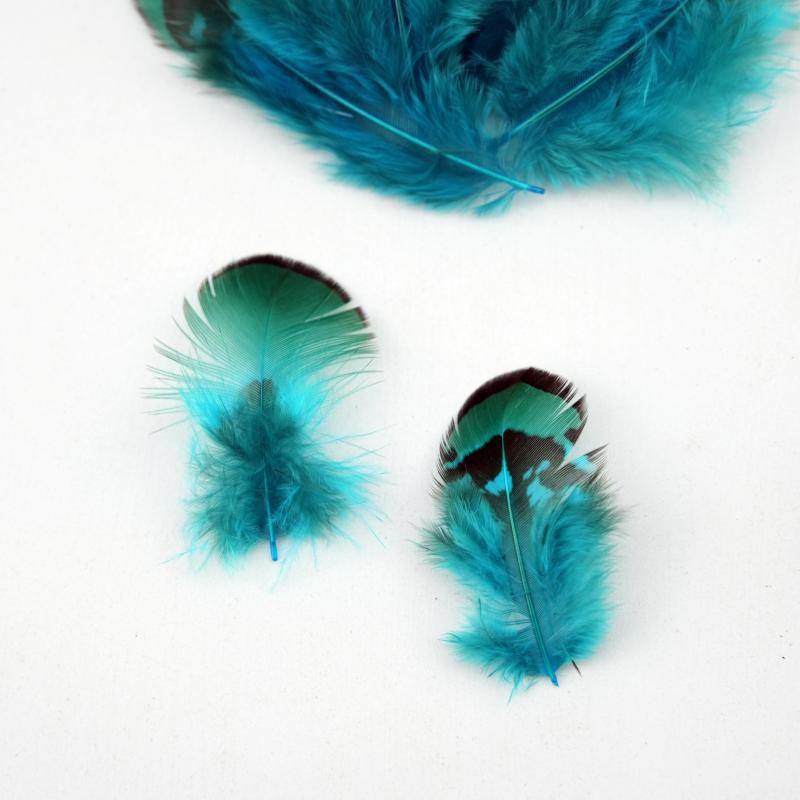 Natural DIY Pheasant Feathers  - огляд і ціна Wedding Supply Bulk
